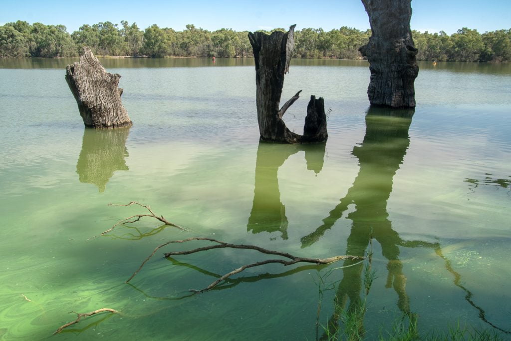 Confluence of Murray and Darling Rivers